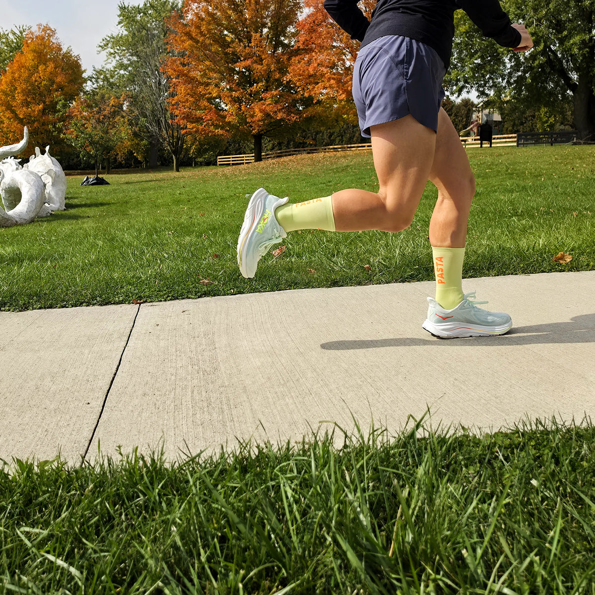 Run Fasta — The Run Sock